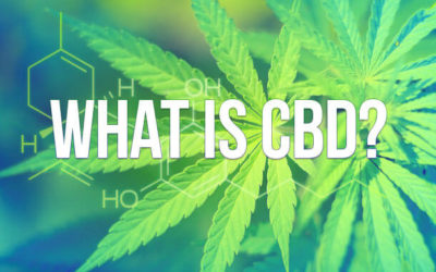 CBD Cannabis