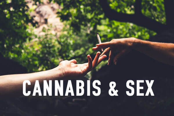 Marijuana & Sex