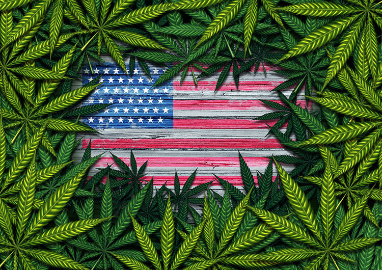 Cannabis in the United States since 2010